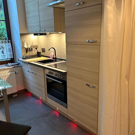 Ruhige Wohnung Im Fabrikstil In Хемніц Екстер'єр фото